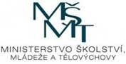 Image result for mmt logo